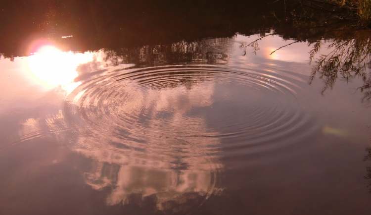 nur bei Windstille ergibt sich ein solch harmonischer Wasserkreis (Bitte hier klicken um dieses Bild in seiner vollen Größe zu betrachten)