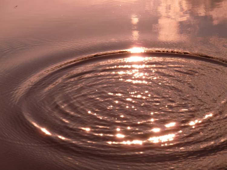 Wasserkreis mit kohärenten Wellen (Bitte hier klicken um dieses Bild in seiner vollen Größe zu betrachten)