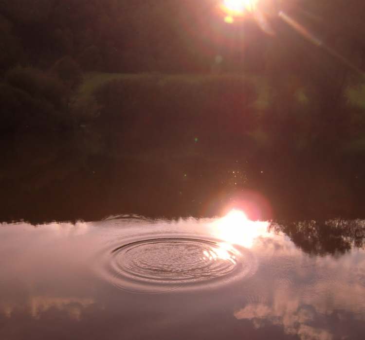 Wasserkreis im See (Bitte hier klicken um dieses Bild in seiner vollen Größe zu betrachten)