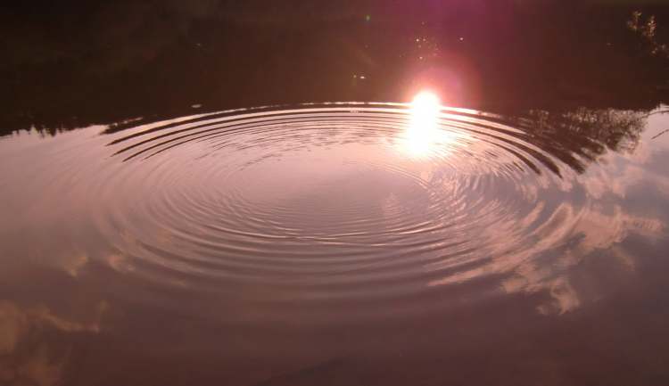 Wasserkreis breitet sich im Abendlicht aus (Bitte hier klicken um dieses Bild in seiner vollen Größe zu betrachten)