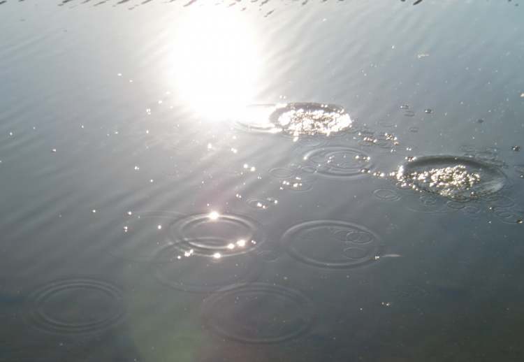 Wasserkreise im Licht (Bitte hier klicken um dieses Bild in seiner vollen Größe zu betrachten)