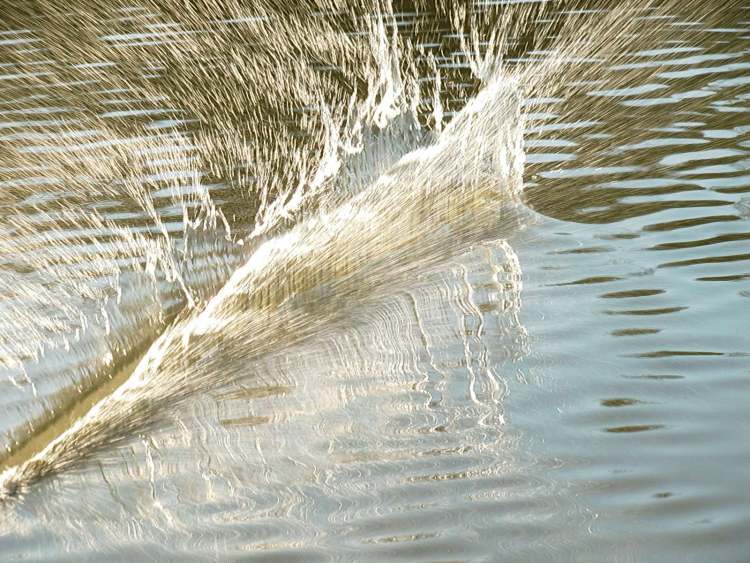 Wasser in peitschender Bewegung (Bitte hier klicken um dieses Bild in seiner vollen Größe zu betrachten)