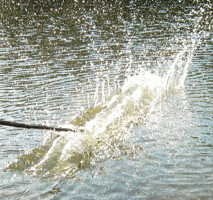 herrliche Wasserspritzmuster im See (Bitte hier klicken um dieses Bild in seiner vollen Größe zu betrachten)