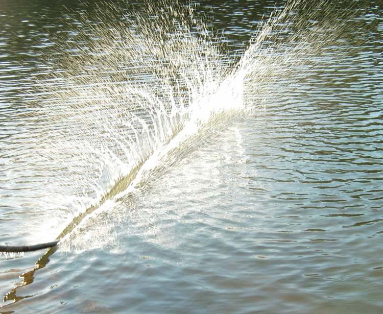 ein Schlag ins Wasser (Bitte hier klicken um dieses Bild in seiner vollen Größe zu betrachten)