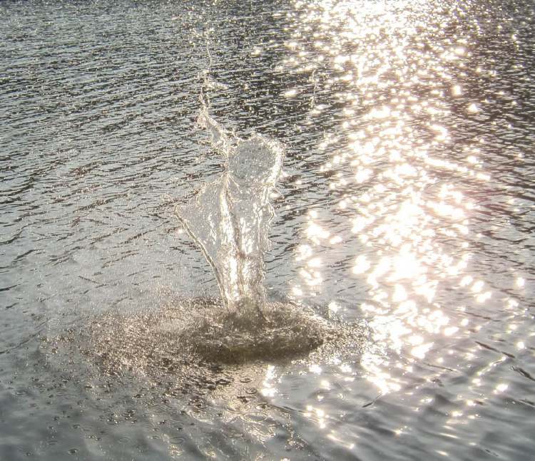 herrliche Wasserfontaine im Sonnenlicht (Bitte hier klicken um dieses Bild in seiner vollen Größe zu betrachten)