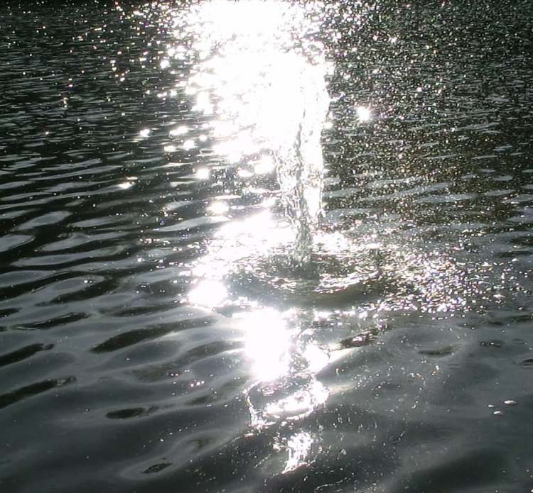 Wasserfontaine schießt aus dem See nach oben (Bitte hier klicken um dieses Bild in seiner vollen Größe zu betrachten)