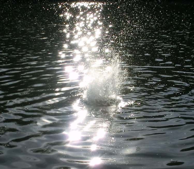 Lichtfunkeln auf dem Wasser mit Fonataine (Bitte hier klicken um dieses Bild in seiner vollen Größe zu betrachten)