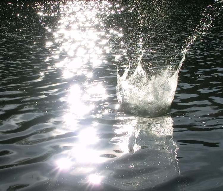 Wasser schießt aus dem See nach oben (Bitte hier klicken um dieses Bild in seiner vollen Größe zu betrachten)