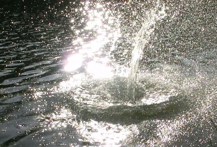 Wasser schießt senkrecht aus dem See nach oben (Bitte hier klicken um dieses Bild in seiner vollen Größe zu betrachten)