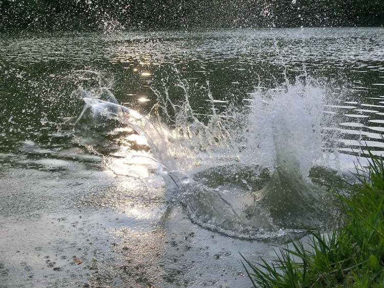 Der See in wilder Wasserbewegung (Bitte hier klicken um dieses Bild in seiner vollen Größe zu betrachten)