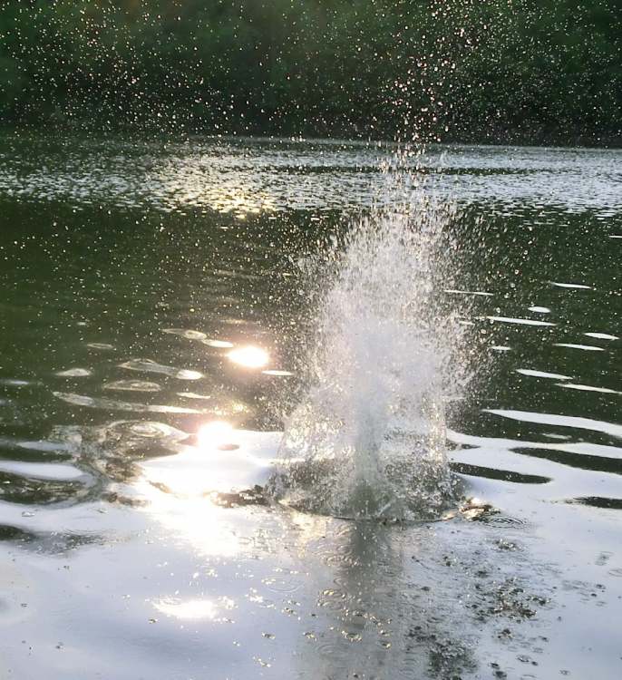 Wasser spritzt hoch (Bitte hier klicken um dieses Bild in seiner vollen Größe zu betrachten)