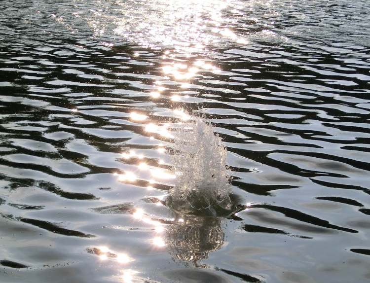 der See spuckt Wasser (Bitte hier klicken um dieses Bild in seiner vollen Größe zu betrachten)