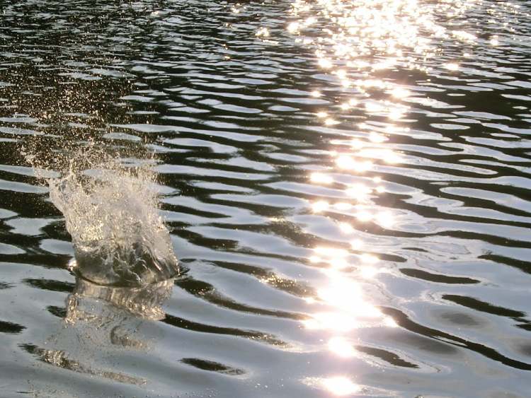 der See spuckt Wasser nach oben (Bitte hier klicken um dieses Bild in seiner vollen Größe zu betrachten)