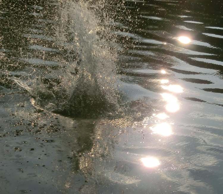 wie eine Furie schießt das Wasser aus dem See (Bitte hier klicken um dieses Bild in seiner vollen Größe zu betrachten)