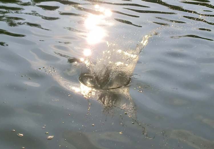 netter Wassertrichter mit freundlichen Spritzern (Bitte hier klicken um dieses Bild in seiner vollen Größe zu betrachten)