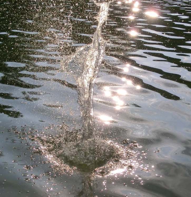 Wasser steigt nach oben aus dem See (Bitte hier klicken um dieses Bild in seiner vollen Größe zu betrachten)