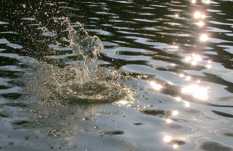 der See spuckt einen wasserschwall nach oben (Bitte hier klicken um dieses Bild in seiner vollen Größe zu betrachten)