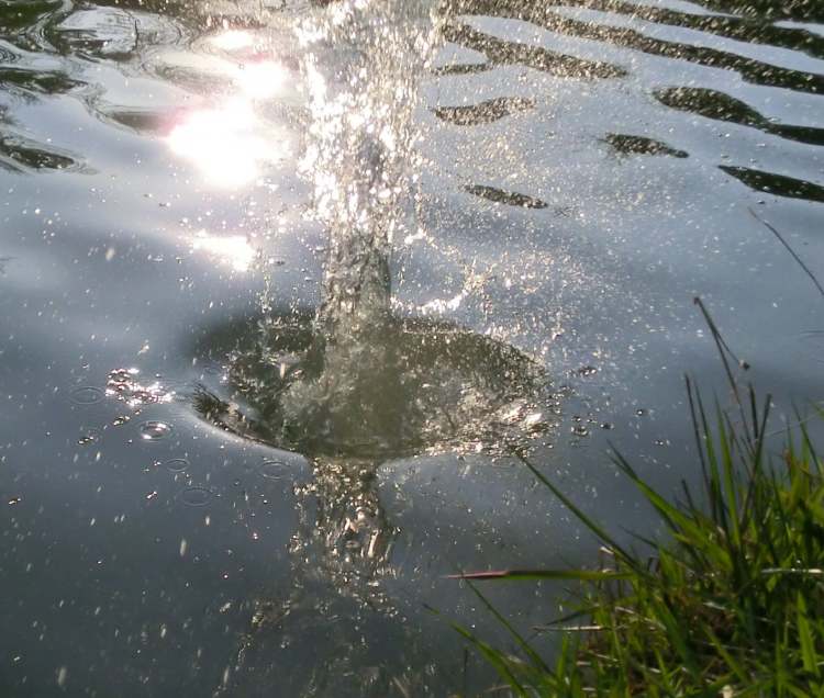 Wasser steigt senkrecht nach oben aus dem See (Bitte hier klicken um dieses Bild in seiner vollen Größe zu betrachten)