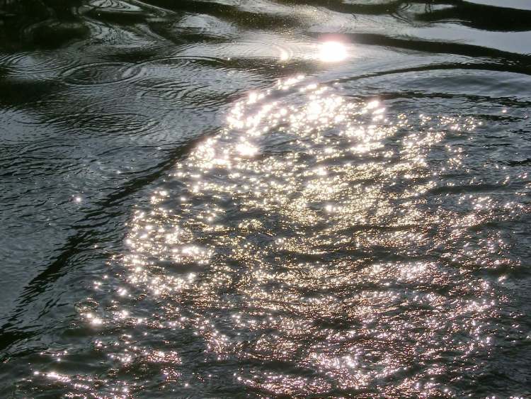 Wasseroberfläche beruhigt sich wieder (Bitte hier klicken um dieses Bild in seiner vollen Größe zu betrachten)