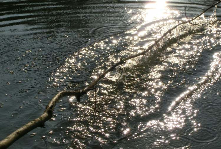 mit einem Ast das Wasser bewegt (Bitte hier klicken um dieses Bild in seiner vollen Größe zu betrachten)