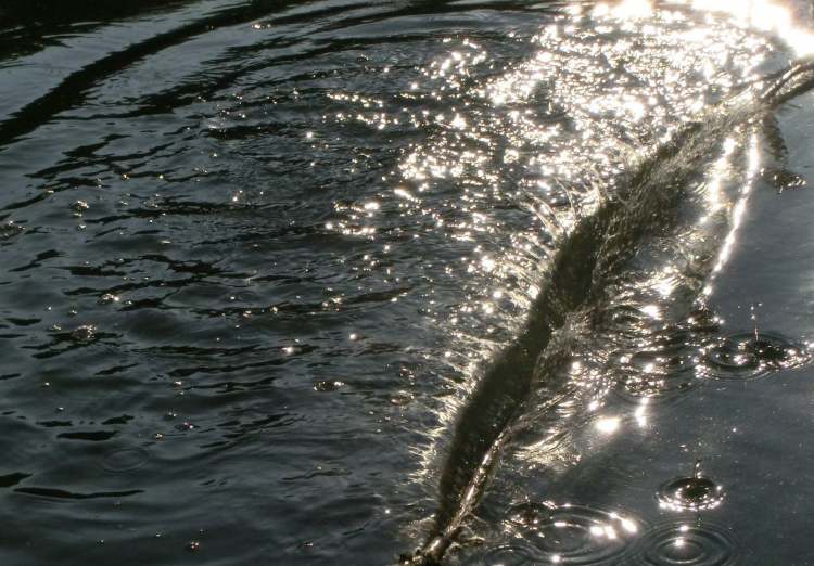 Wasser lässt sich schneiden wie Butter (Bitte hier klicken um dieses Bild in seiner vollen Größe zu betrachten)