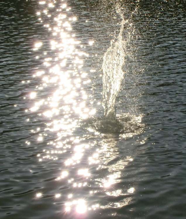 Lichtglitzern mit Wasserausbruch (Bitte hier klicken um dieses Bild in seiner vollen Größe zu betrachten)