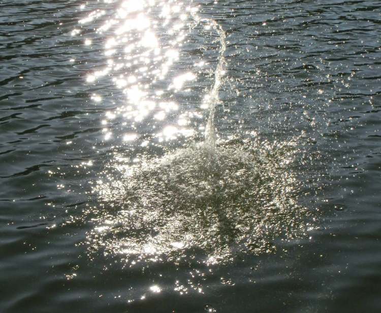 hoher Wasserausbruch bei Sonnenlichtfunken im See (Bitte hier klicken um dieses Bild in seiner vollen Größe zu betrachten)