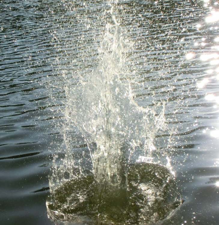der hochschießende Wasserkreis (Bitte hier klicken um dieses Bild in seiner vollen Größe zu betrachten)