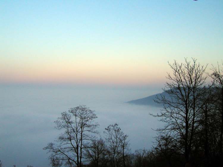 Winter Nebelstimmung (Bitte hier klicken um dieses Bild in seiner vollen Größe zu betrachten)
