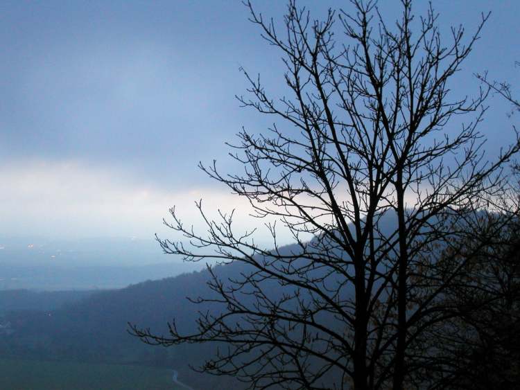 Winterlicher Himmel mit Baum (Bitte hier klicken um dieses Bild in seiner vollen Größe zu betrachten)