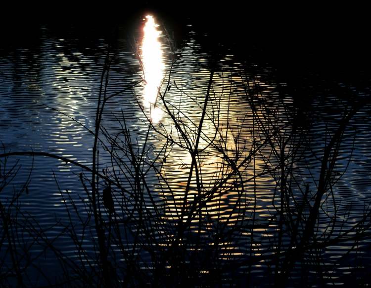 Abendsonne im See (Bitte hier klicken um dieses Bild in seiner vollen Größe zu betrachten)