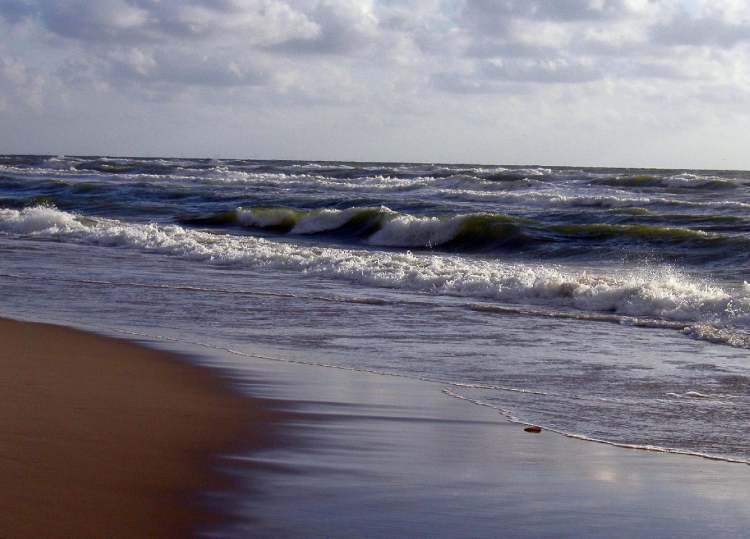 Strand in Dänemark (Bitte hier klicken um dieses Bild in seiner vollen Größe zu betrachten)