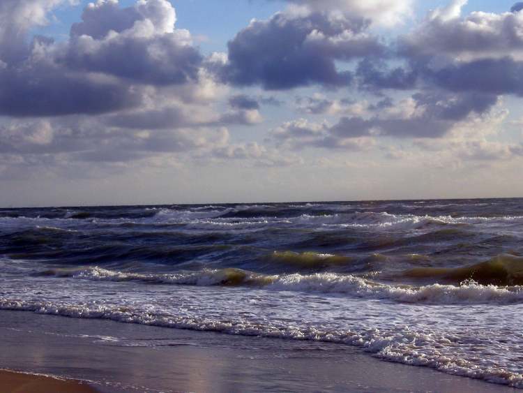 Meeresstrand (Bitte hier klicken um dieses Bild in seiner vollen Größe zu betrachten)