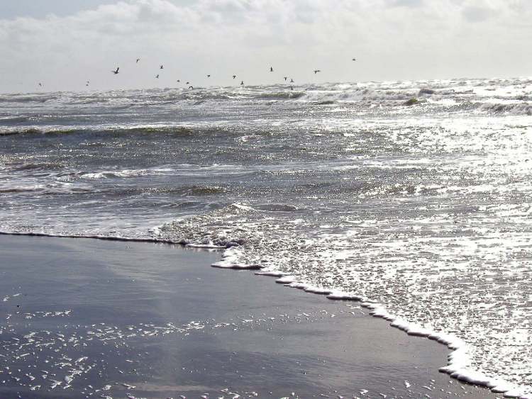 Wellen laufen am Strand auf (Bitte hier klicken um dieses Bild in seiner vollen Größe zu betrachten)