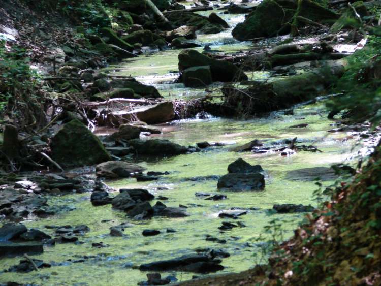 Der Murrhard Wasserfall Spaziergang (Bitte hier klicken um dieses Bild in seiner vollen Größe zu betrachten)