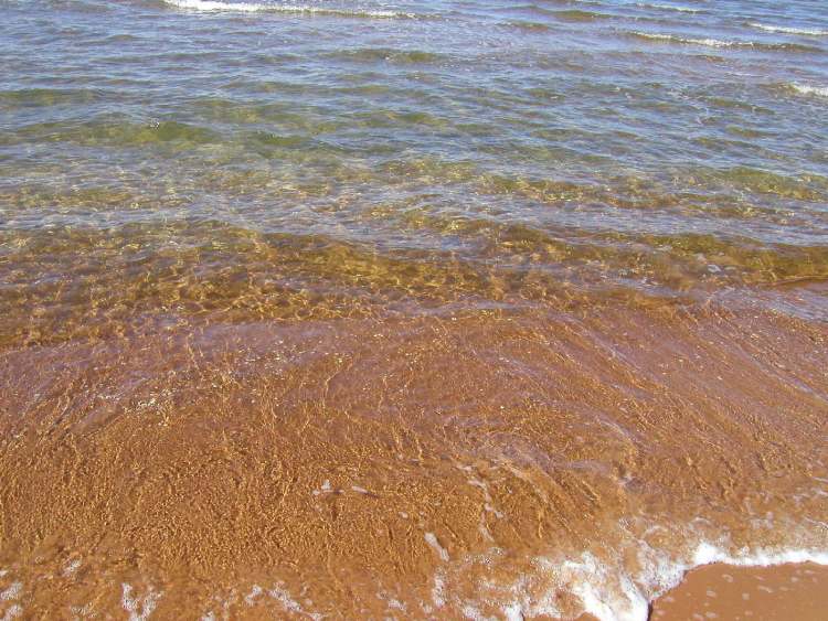 klares Meereswasser (Bitte hier klicken um dieses Bild in seiner vollen Größe zu betrachten)