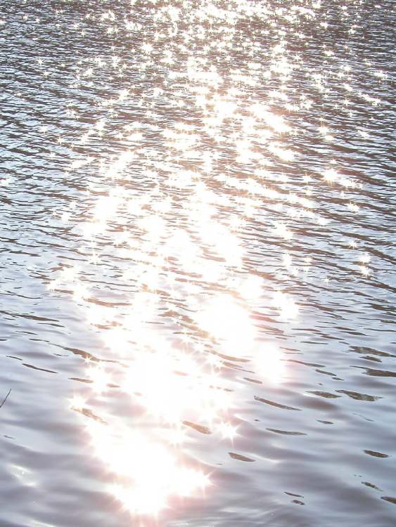 Sonnenglitzern im Seewasser (Bitte hier klicken um dieses Bild in seiner vollen Größe zu betrachten)
