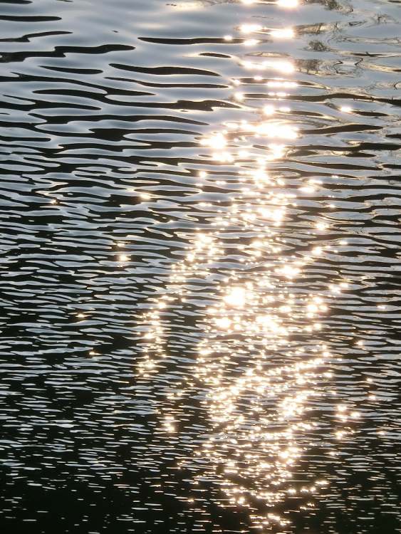 Sonne glitzert im bewegten Seewasser (Bitte hier klicken um dieses Bild in seiner vollen Größe zu betrachten)