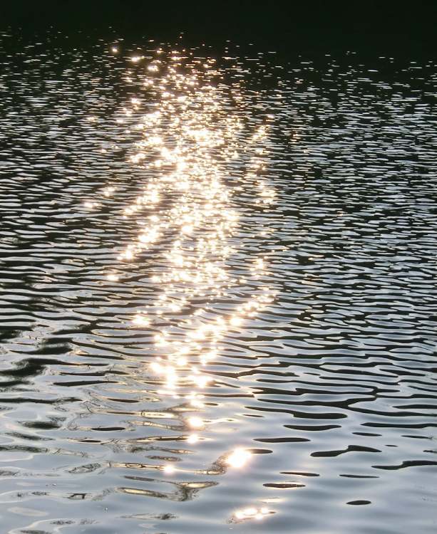 Sonne glitzert im Seewasser (Bitte hier klicken um dieses Bild in seiner vollen Größe zu betrachten)