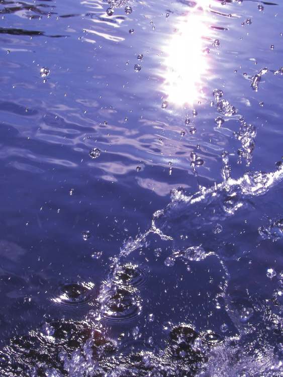 Wasserglitzern im See (Bitte hier klicken um dieses Bild in seiner vollen Größe zu betrachten)